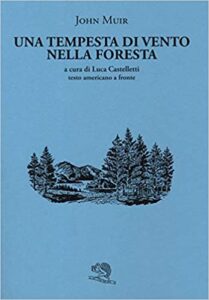 Una tempesta